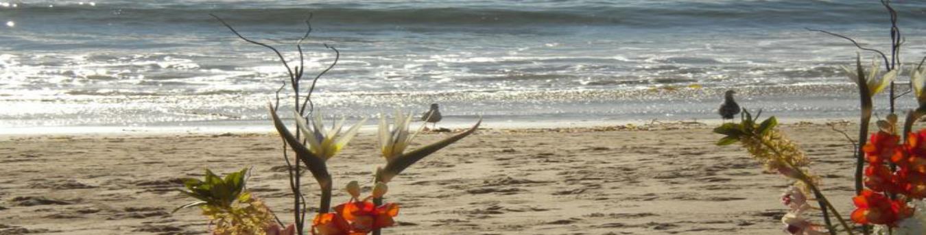 Southern California Beachfront Weddings Orange County